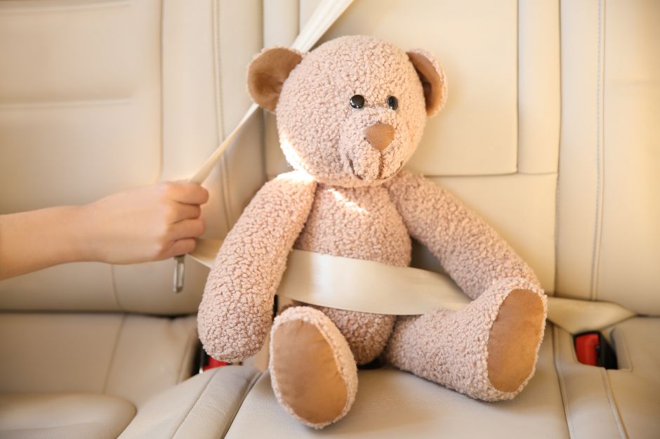 teddy bear in seat belt