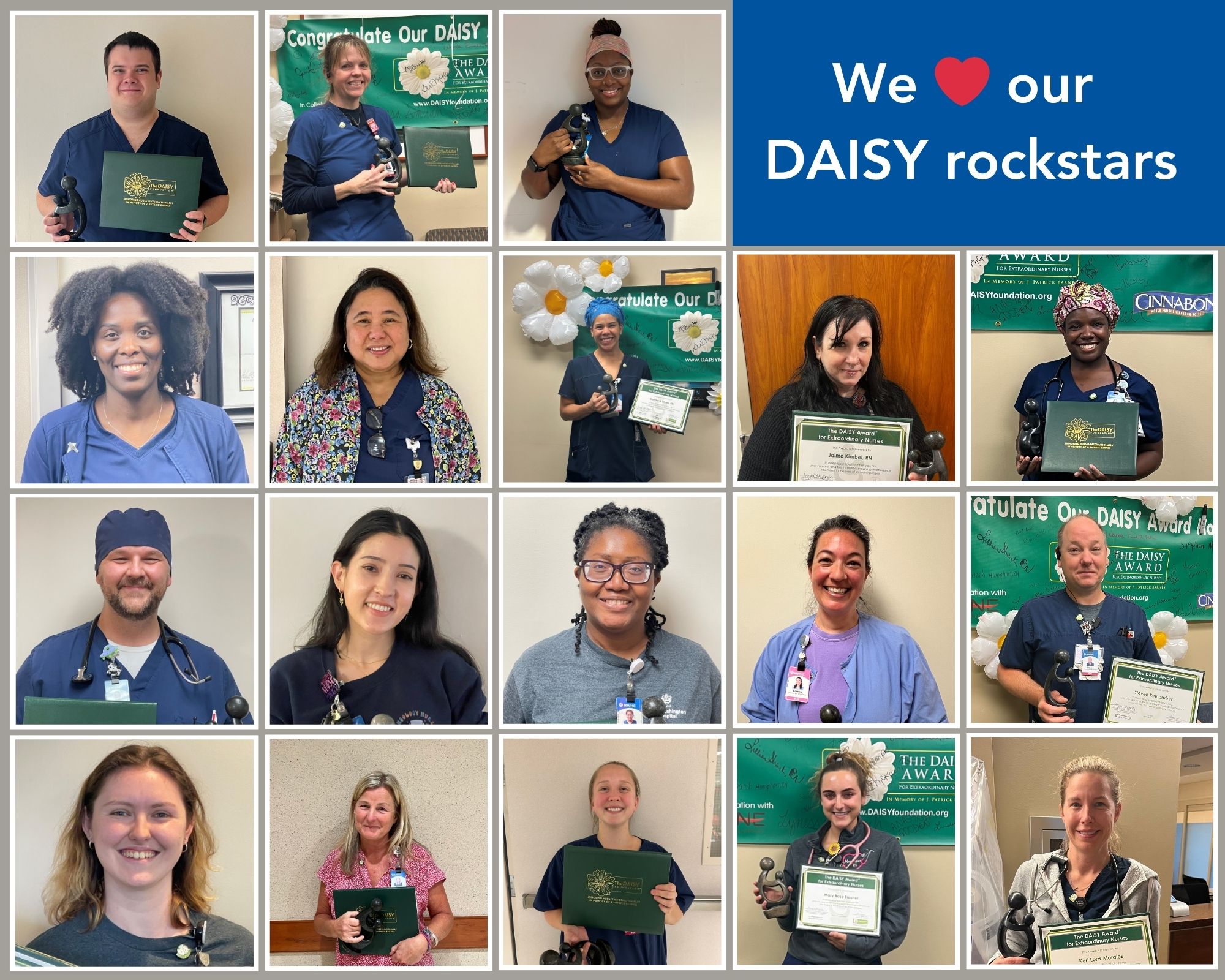 pictures of DAISY award winners